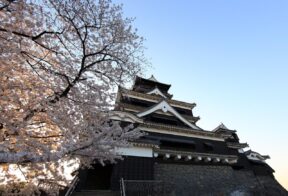 8-Day Heritage Discovery Tour of Beppu, Takachiho, Kumamoto, Nagasaki, Ureshino, and Fukuoka